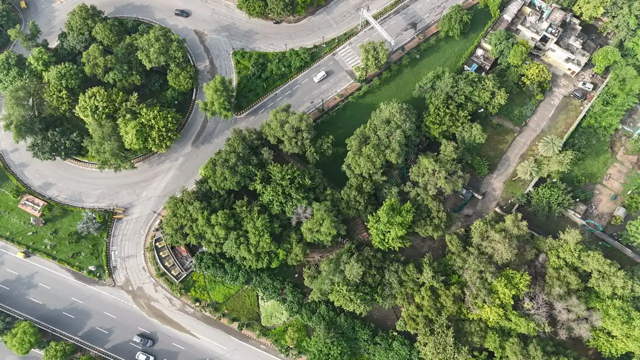 Municipal Park Transformation